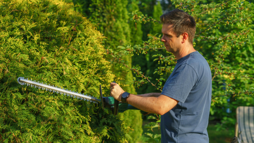 Les outils indispensables pour une taille de haie réussie
