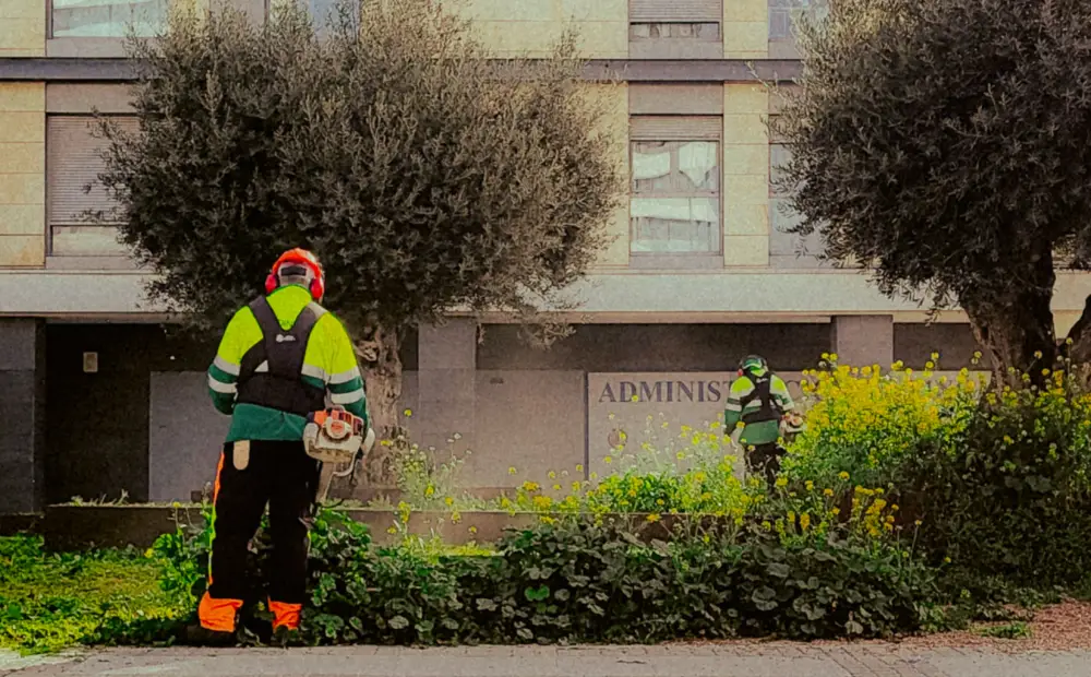 Les services d’un élagueur à Valliquerville pour un jardin sécurisé